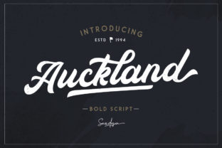 Auckland Script: Making Your Message Unforgettable